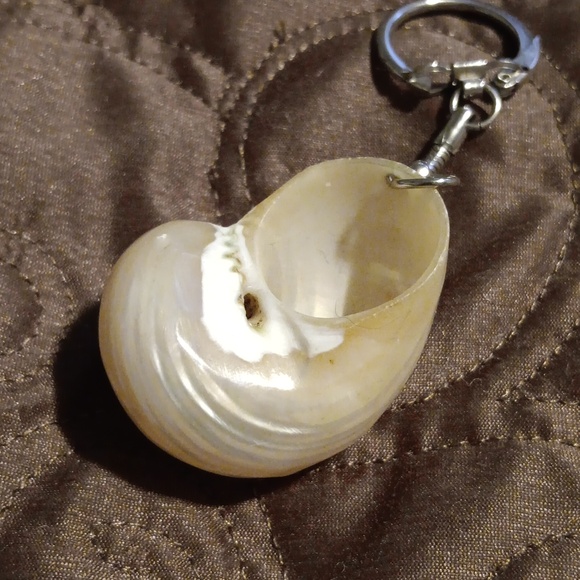 Elegant Shell Keychain - Picture 3 of 3